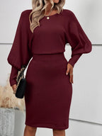 Faye Round Neck Batwing Sleeve Fitted Sweater Dress - view 6